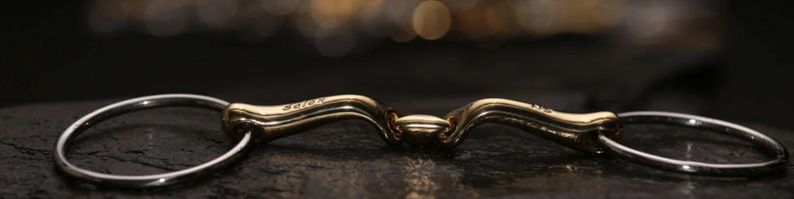 Which Bit For My Horse? | Naylors Guide