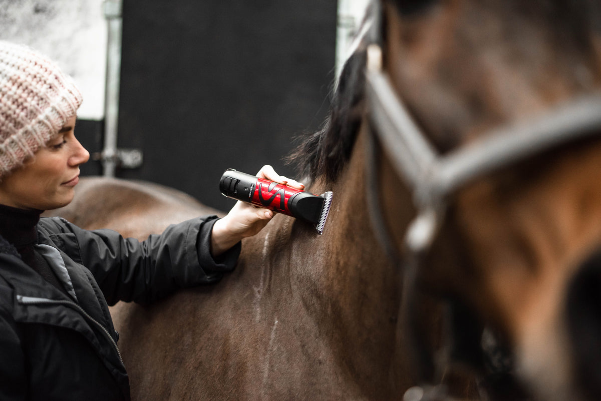 Horse Clipping – Which Clip Is Right For Your Horse