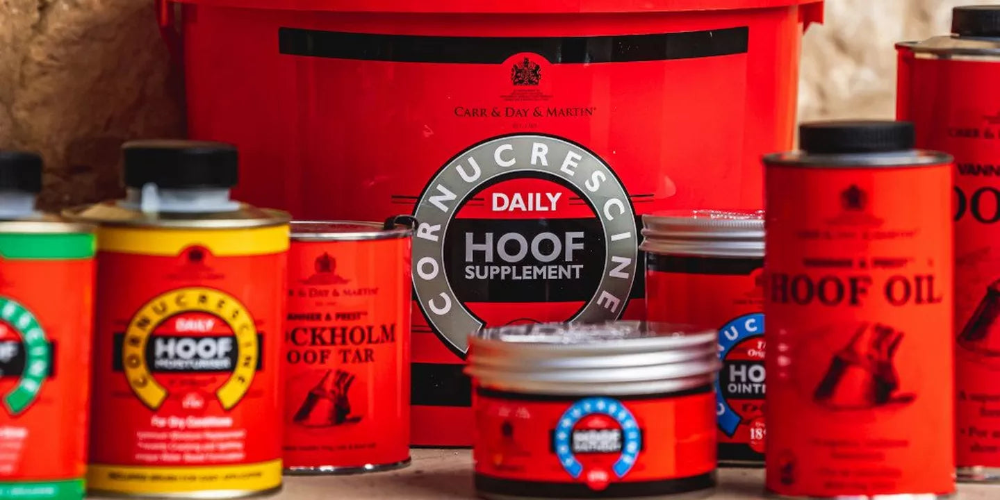 How To Prevent Your Horse Losing A Shoe – Our Top Tips