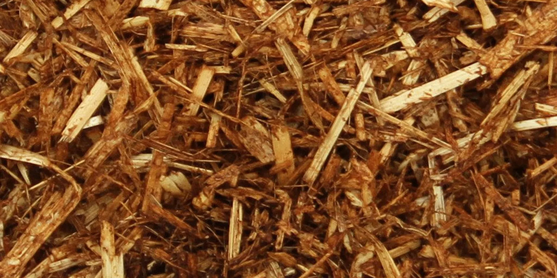Baileys Horse Feeds – Why they’ve got it in the bag!