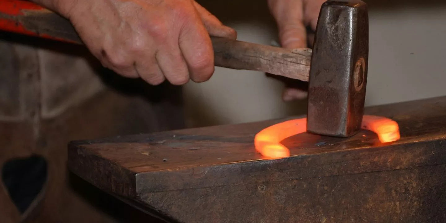 Barefoot Basics – Taking Shoes Off Your Horse