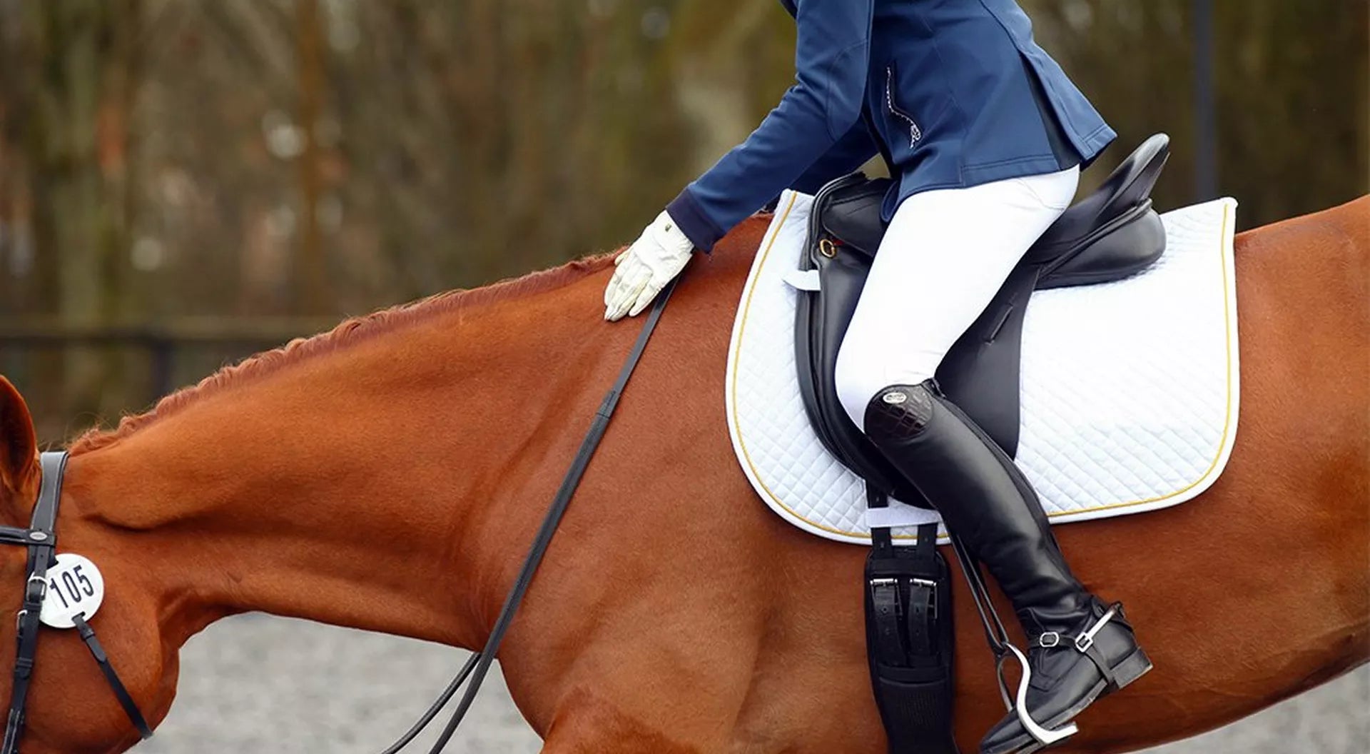 British Dressage Rule Changes for 2018