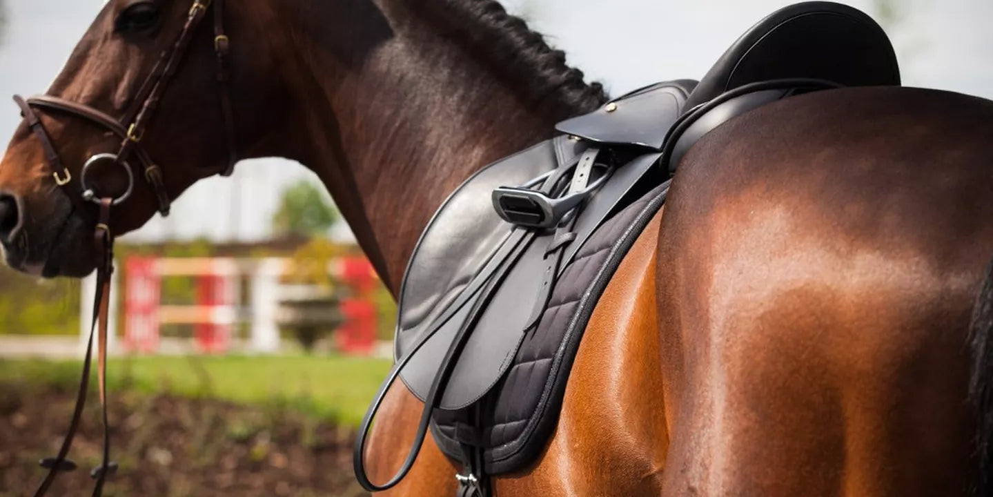 Correctly Fitting Tack and Why It’s Important