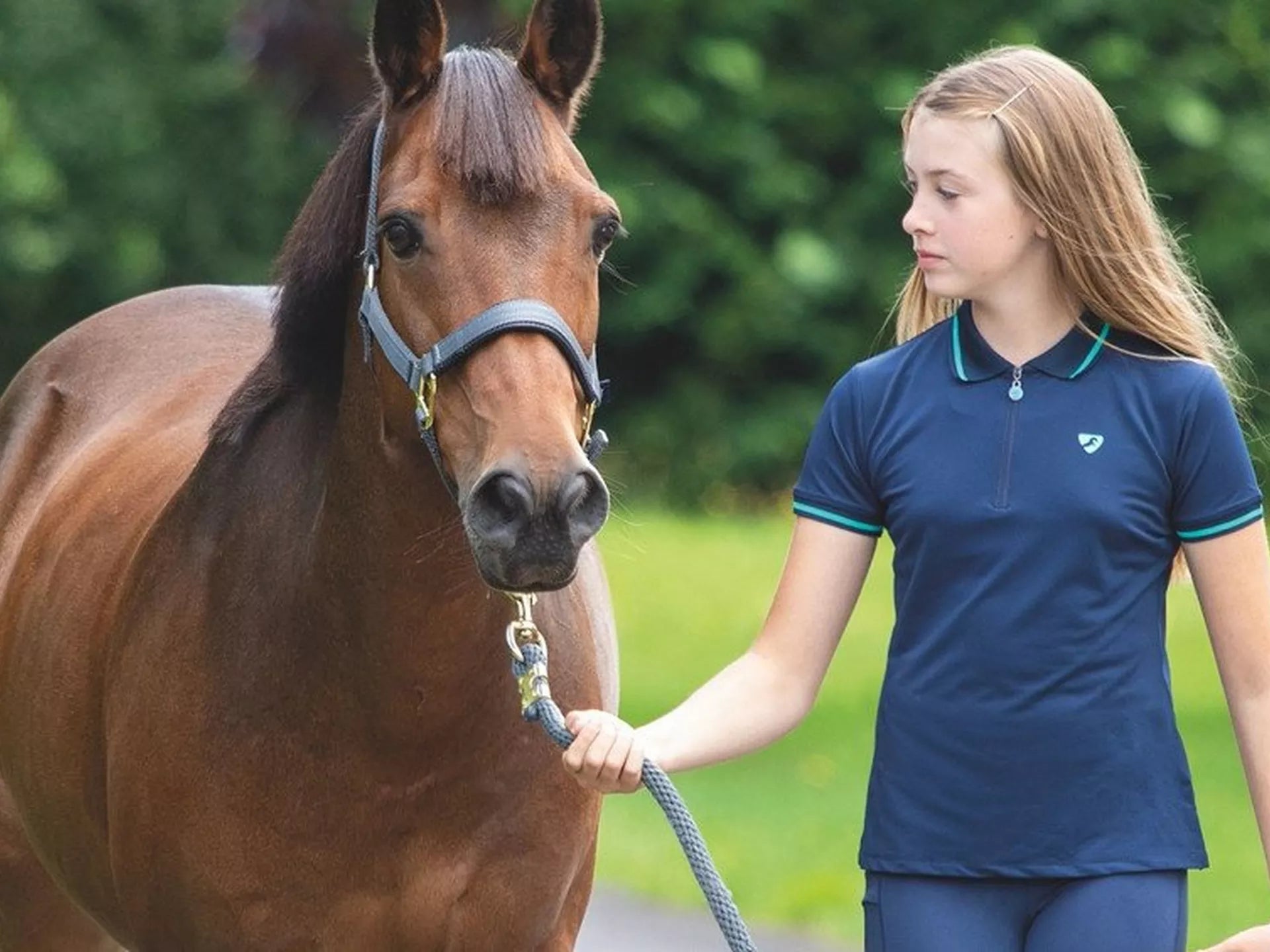 Pony Stars Junior Challenge Awards - British Horse Society