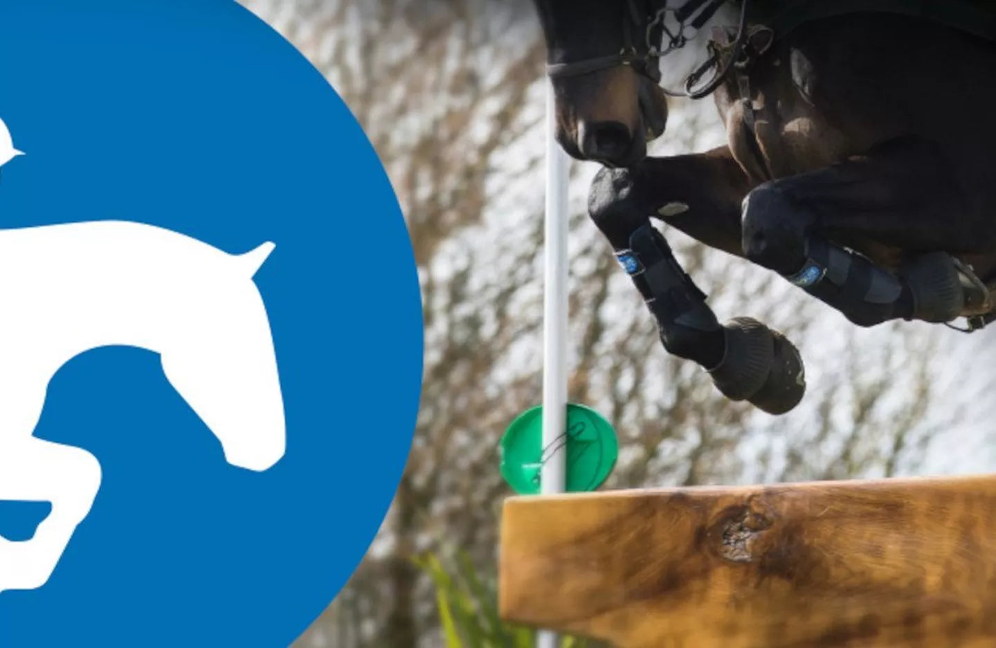 Why Your Horse Needs A Prolite Girth!