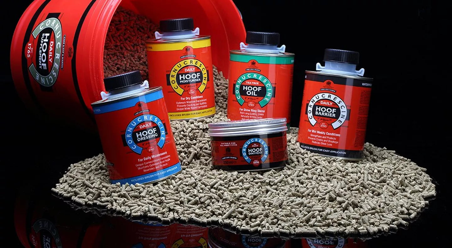 No Hoof, No Horse! Summer Hoof Care