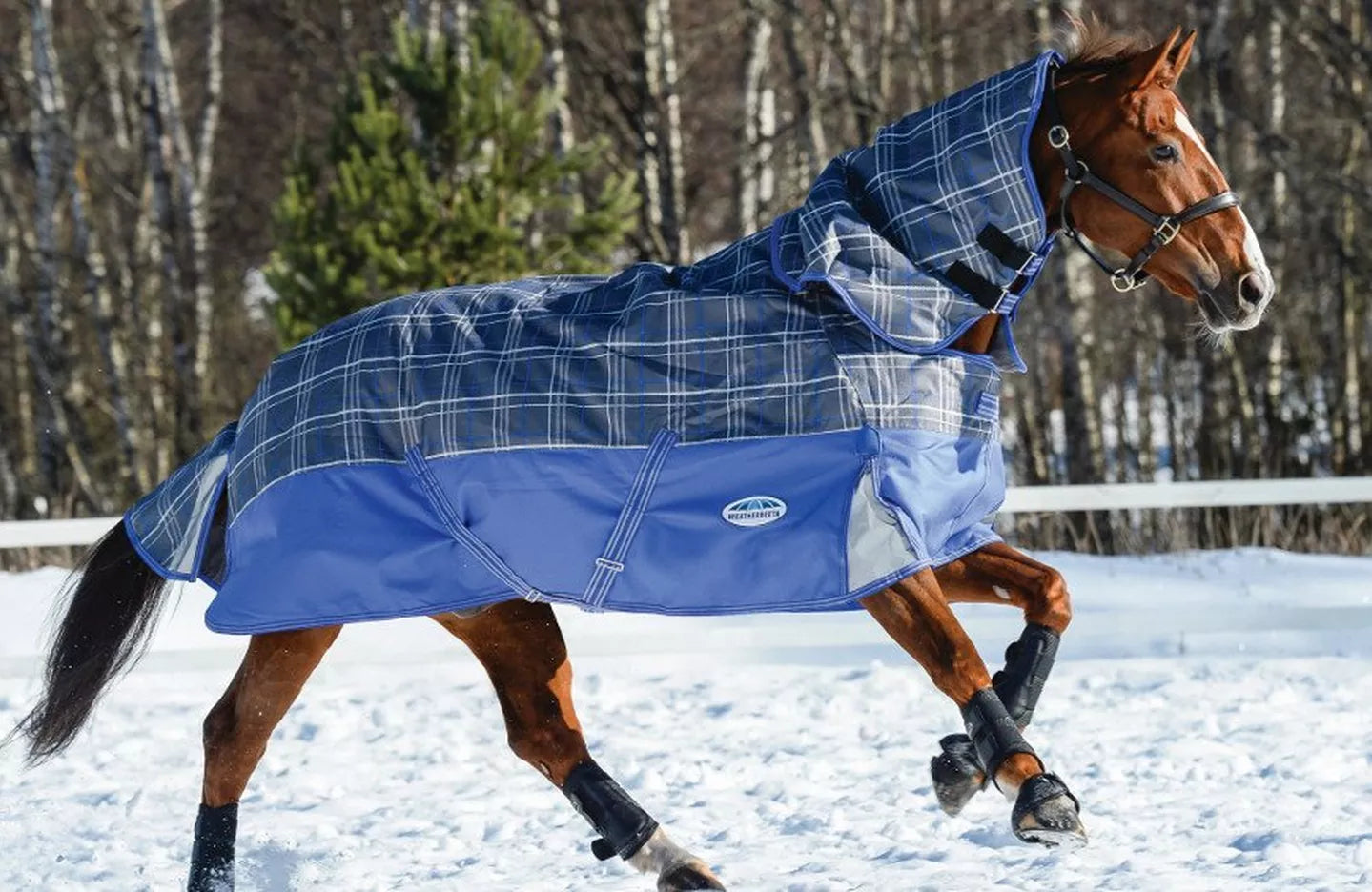 Understanding Rug Technology | Horse Rugs