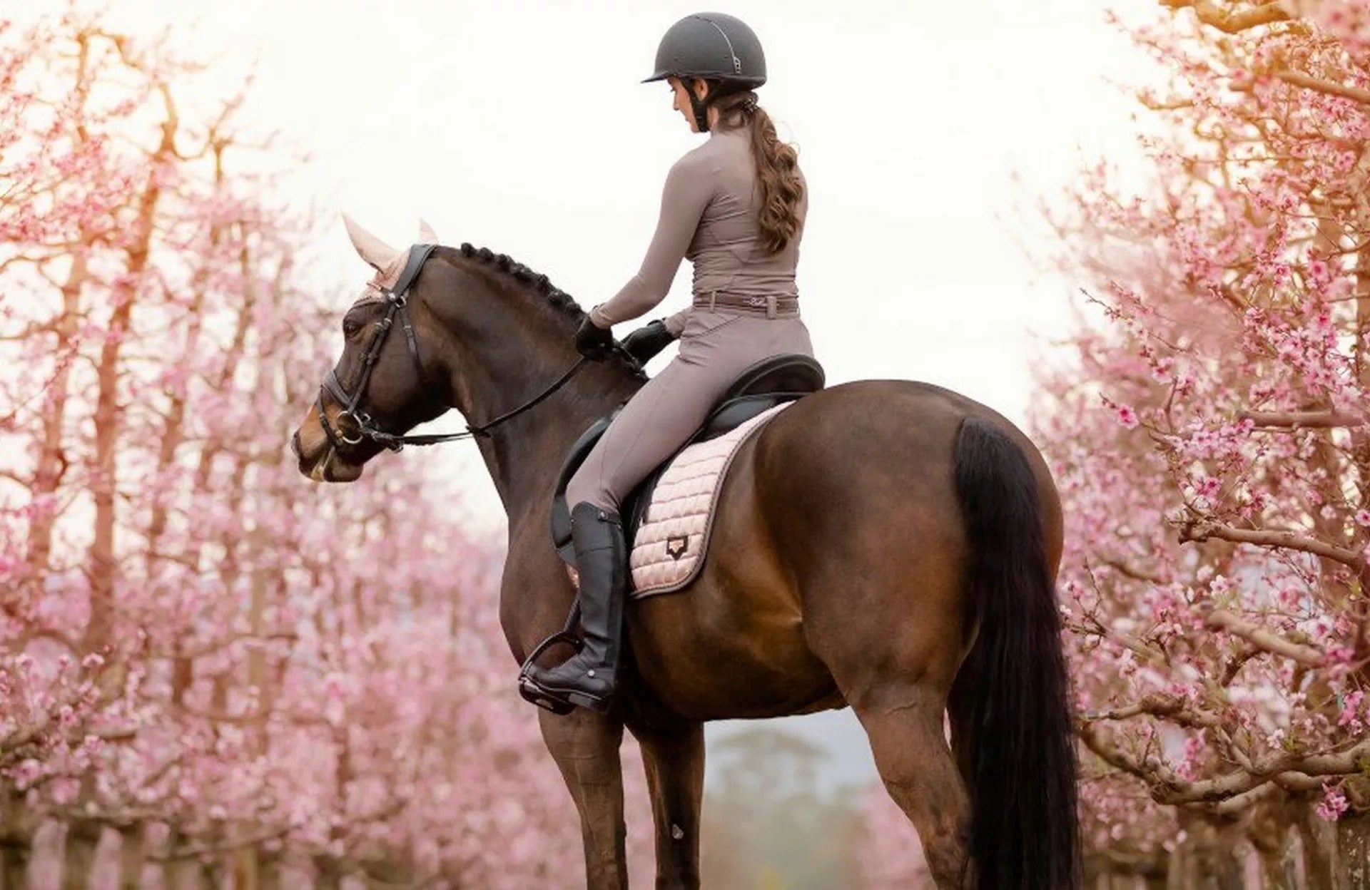 Valentine’s Day – Gift Giving Guide For Horse