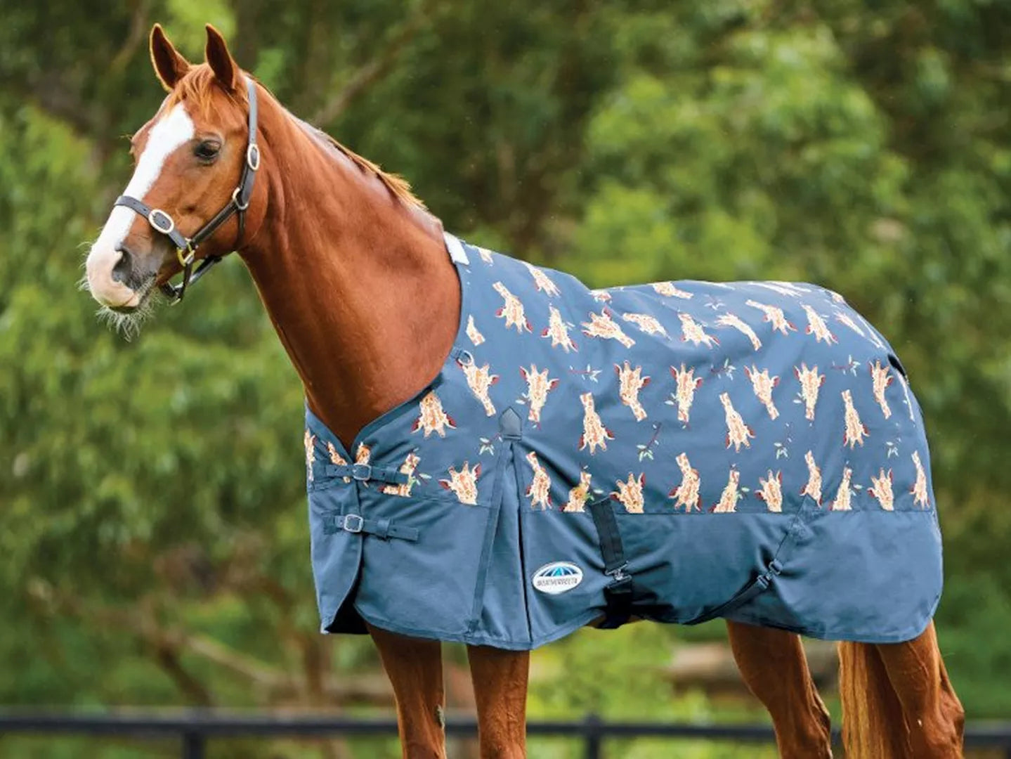 Mallenders & Sallenders – Treatment and Management