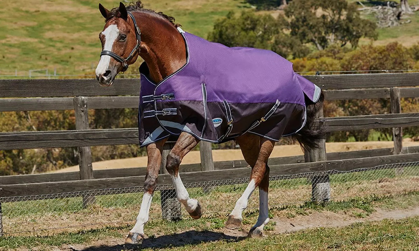 WeatherBeeta Rugs – Our Guide