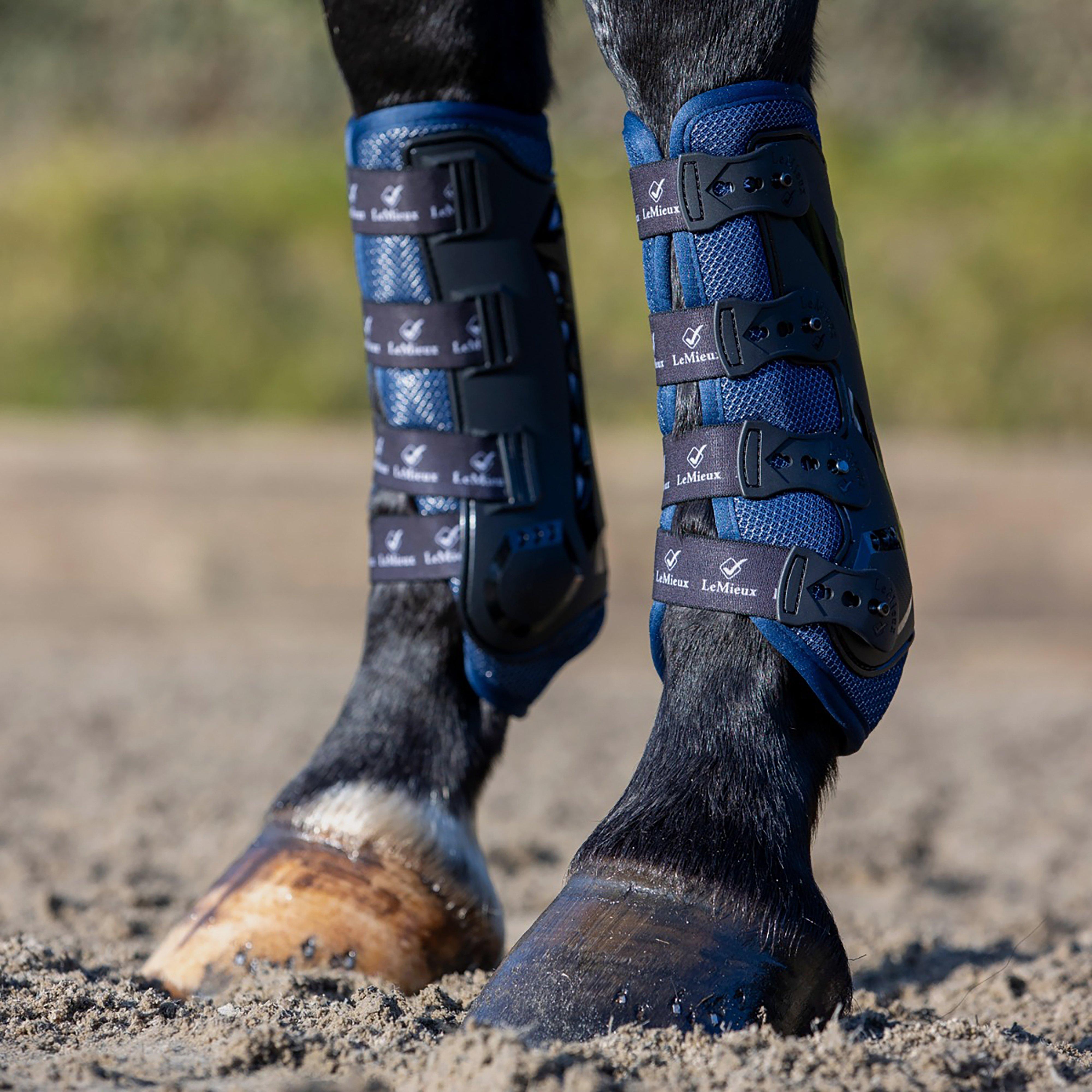 Horse Boots 101 | Which Boots Are Best For Your Horse?