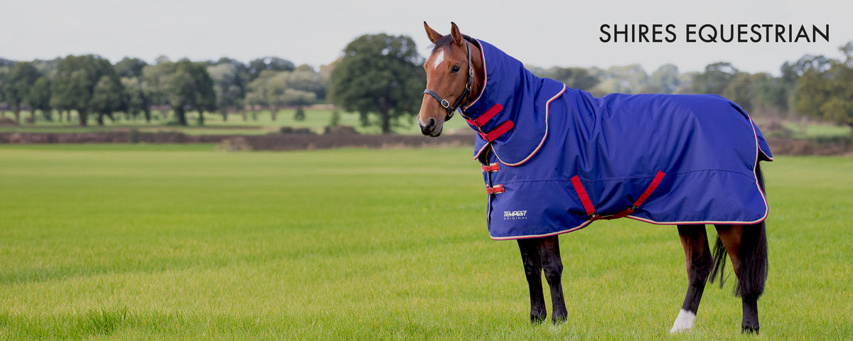 A brown horse standing in a green field wearing a blue horse blanket with red trim. The text 'SHIRES EQUESTRIAN' is visible in the top right corner.