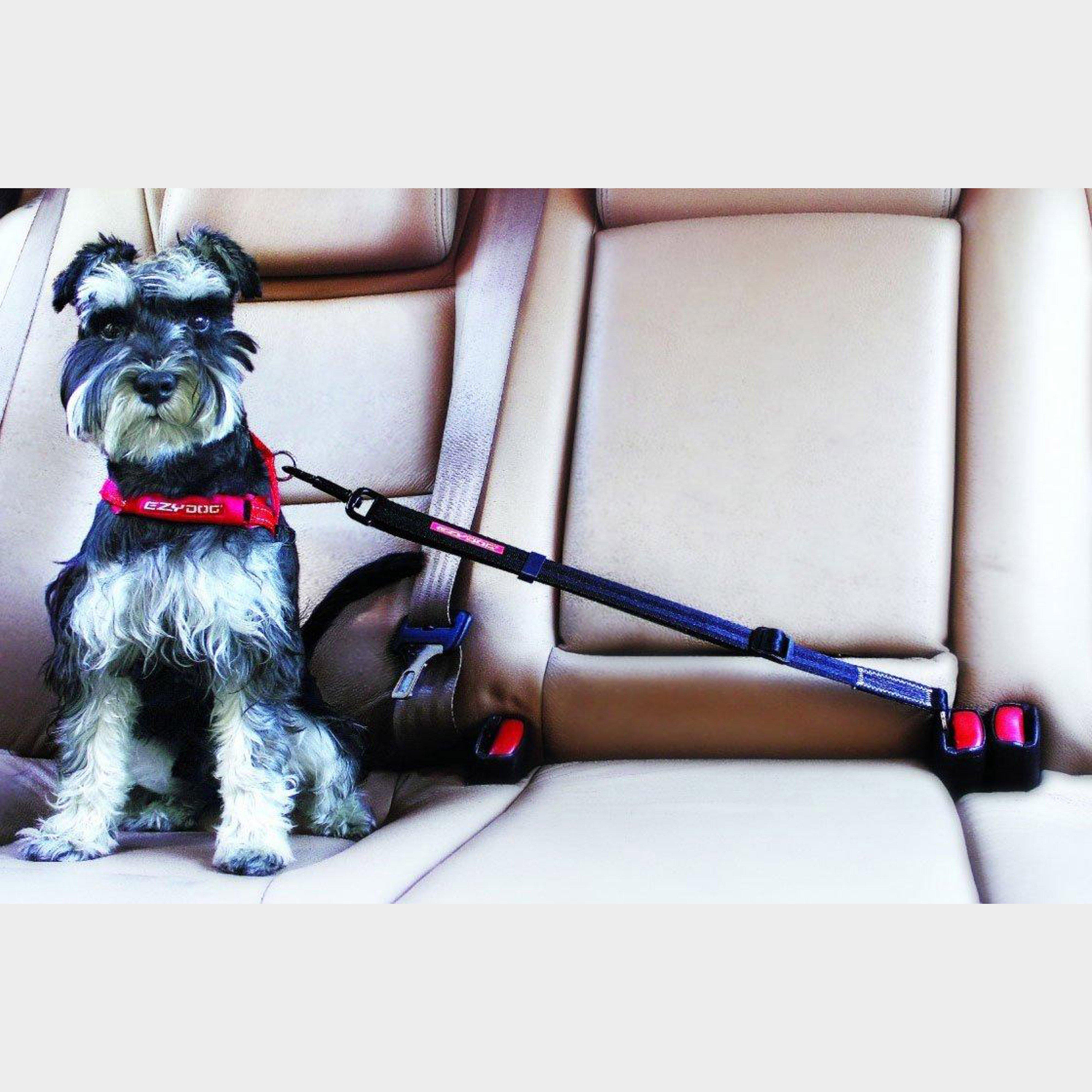 Click Adjustable Car Restraint Black