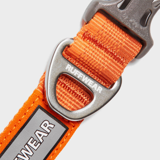 Front Range Dog Collar Orange
