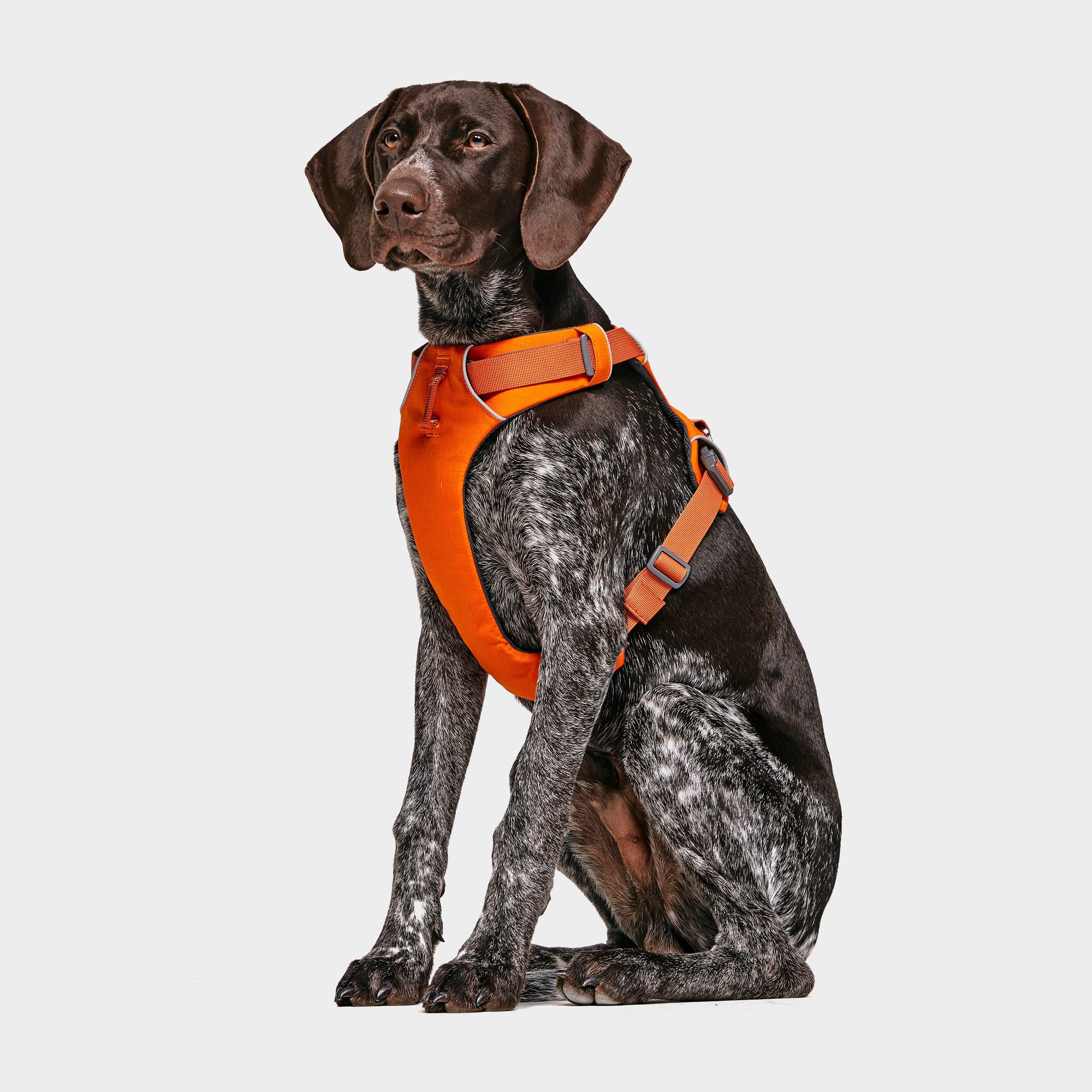 Front Range Dog Harness Orange