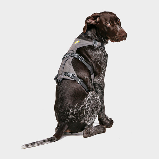 Flagline Dog Harness Grey