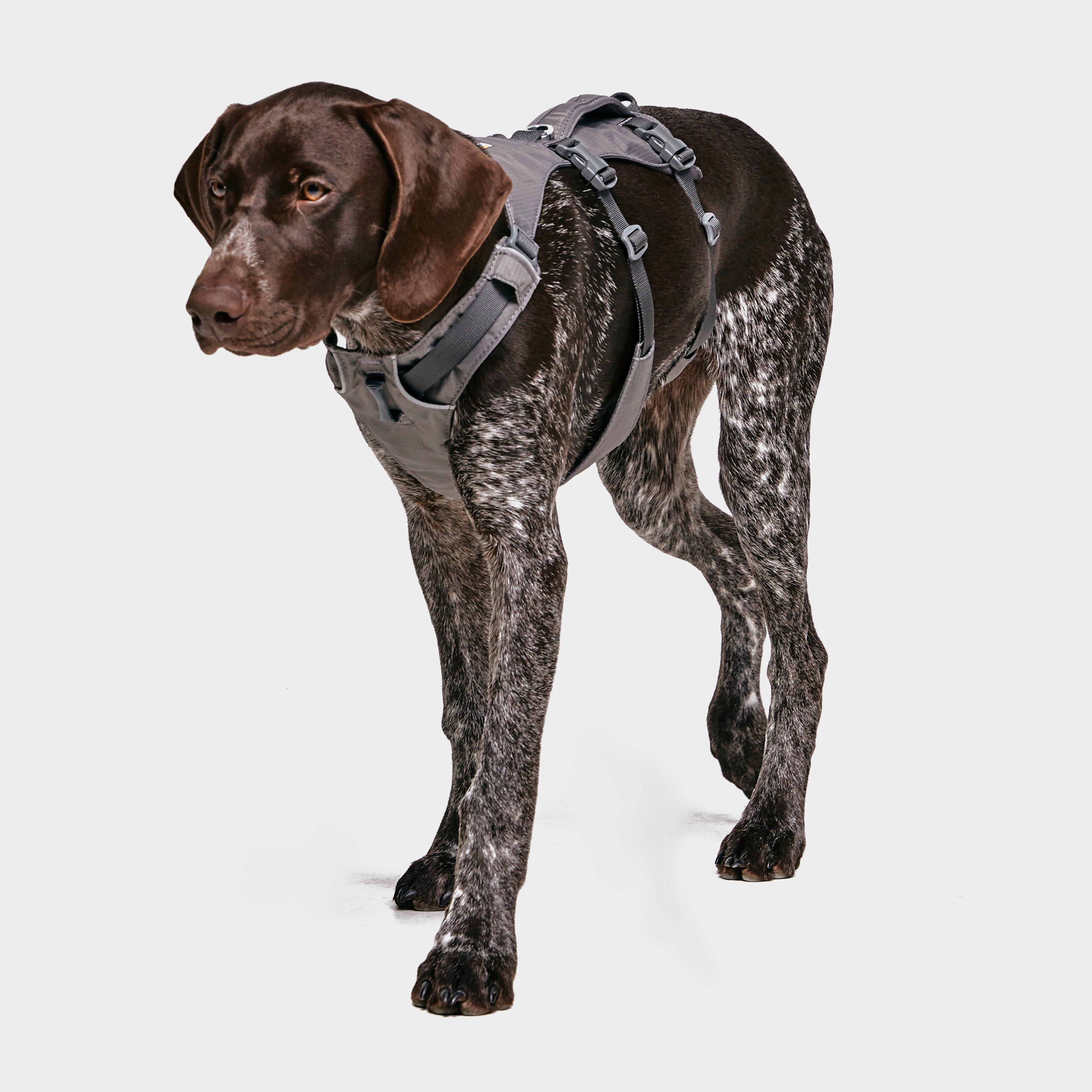Flagline Dog Harness Grey