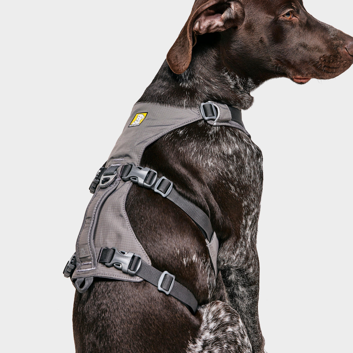 Flagline Dog Harness Grey