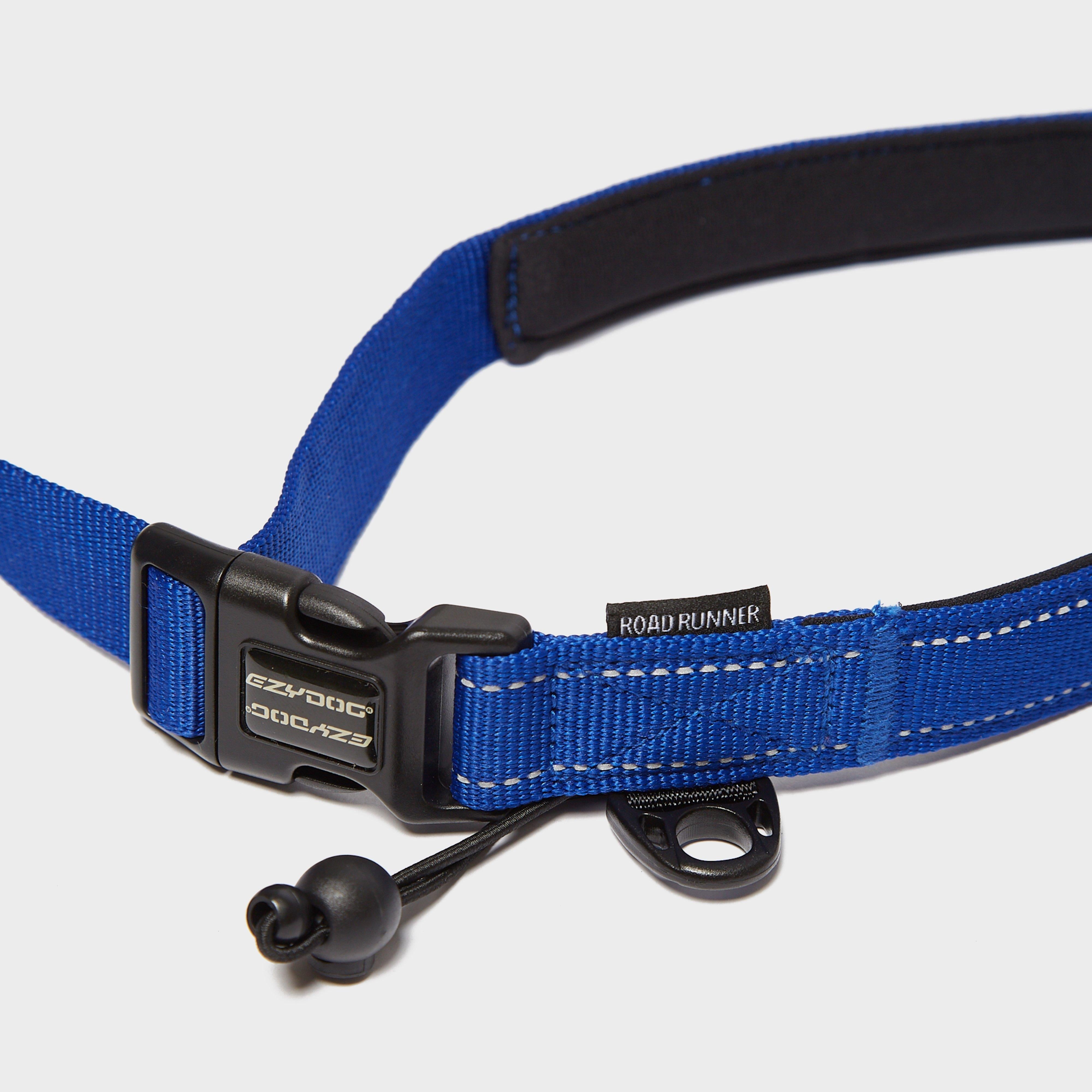 Road Runner Dog Lead Blue