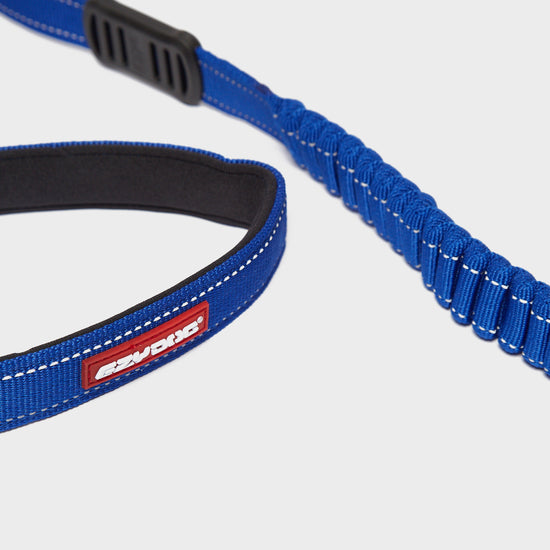 Road Runner Dog Lead Blue