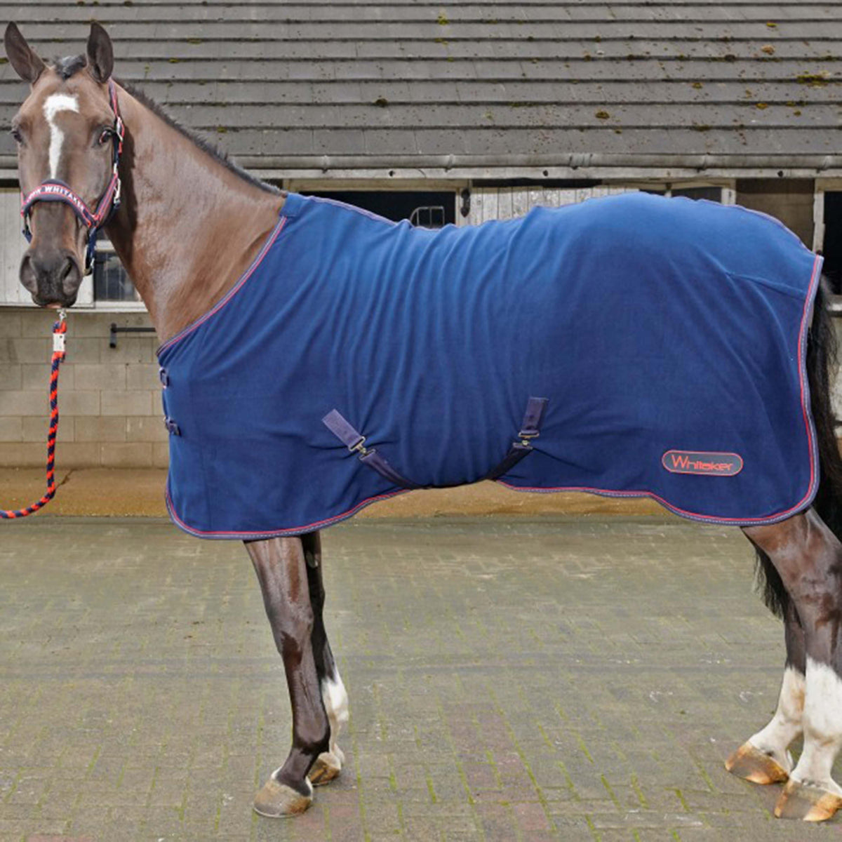 Rastrick Fleece Standard Neck Rug Navy