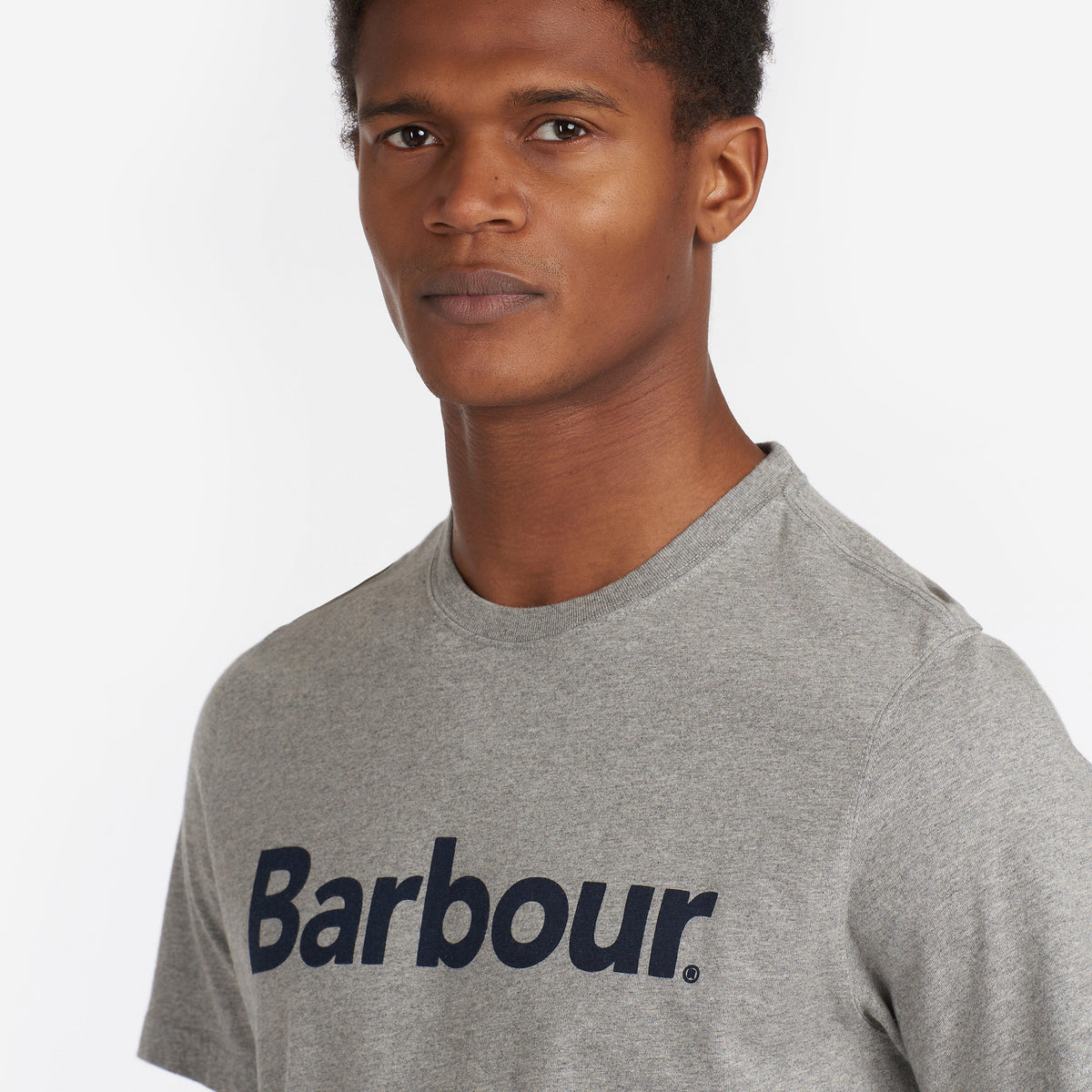 Mens Logo T-Shirt New Grey