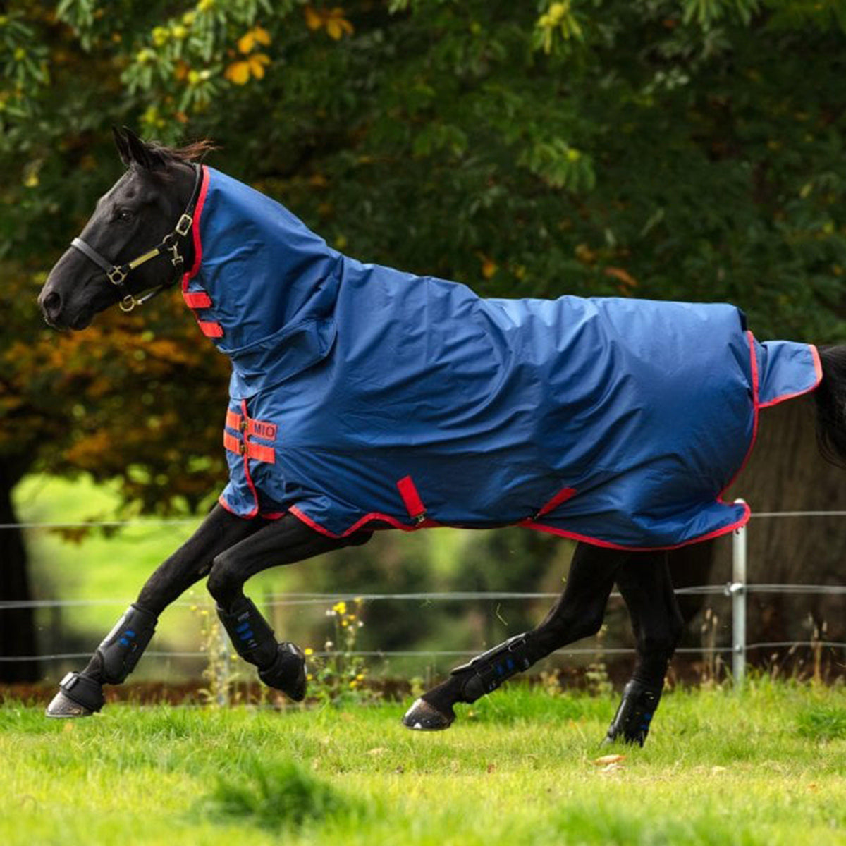 Mio All-In-One 350g Heavy Weight Combo Neck Turnout Rug Dark Blue/Red