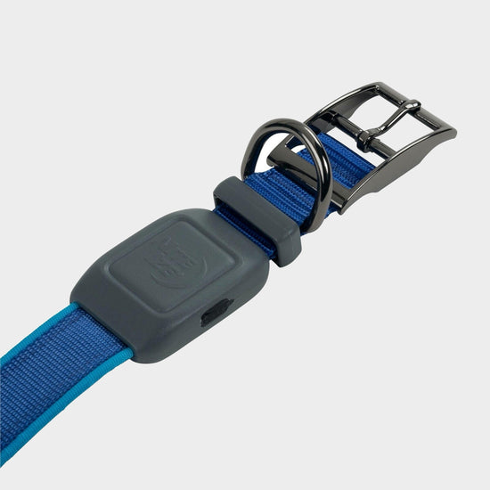 Nitedog® LED Rechargeable Collar Blue Large
