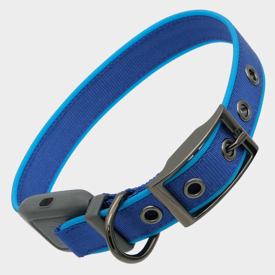 Nitedog® LED Rechargeable Collar Blue Medium