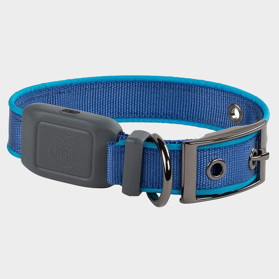 Nitedog® LED Rechargeable Collar Blue Small