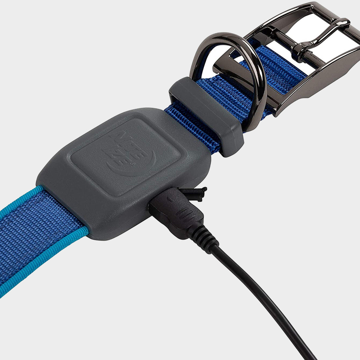 Nitedog® LED Rechargeable Collar Blue Small