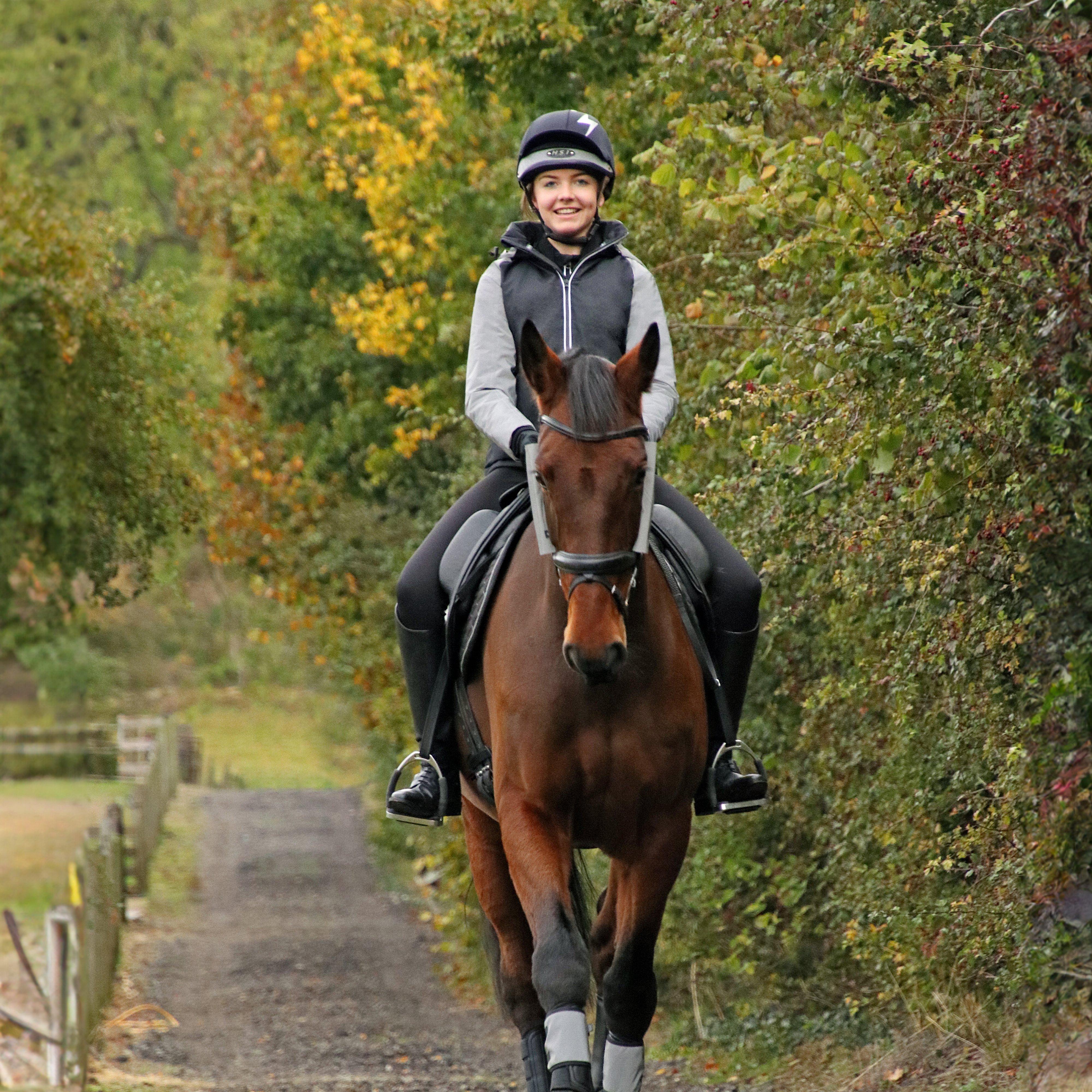 HyVIZ Leg Bands Silver