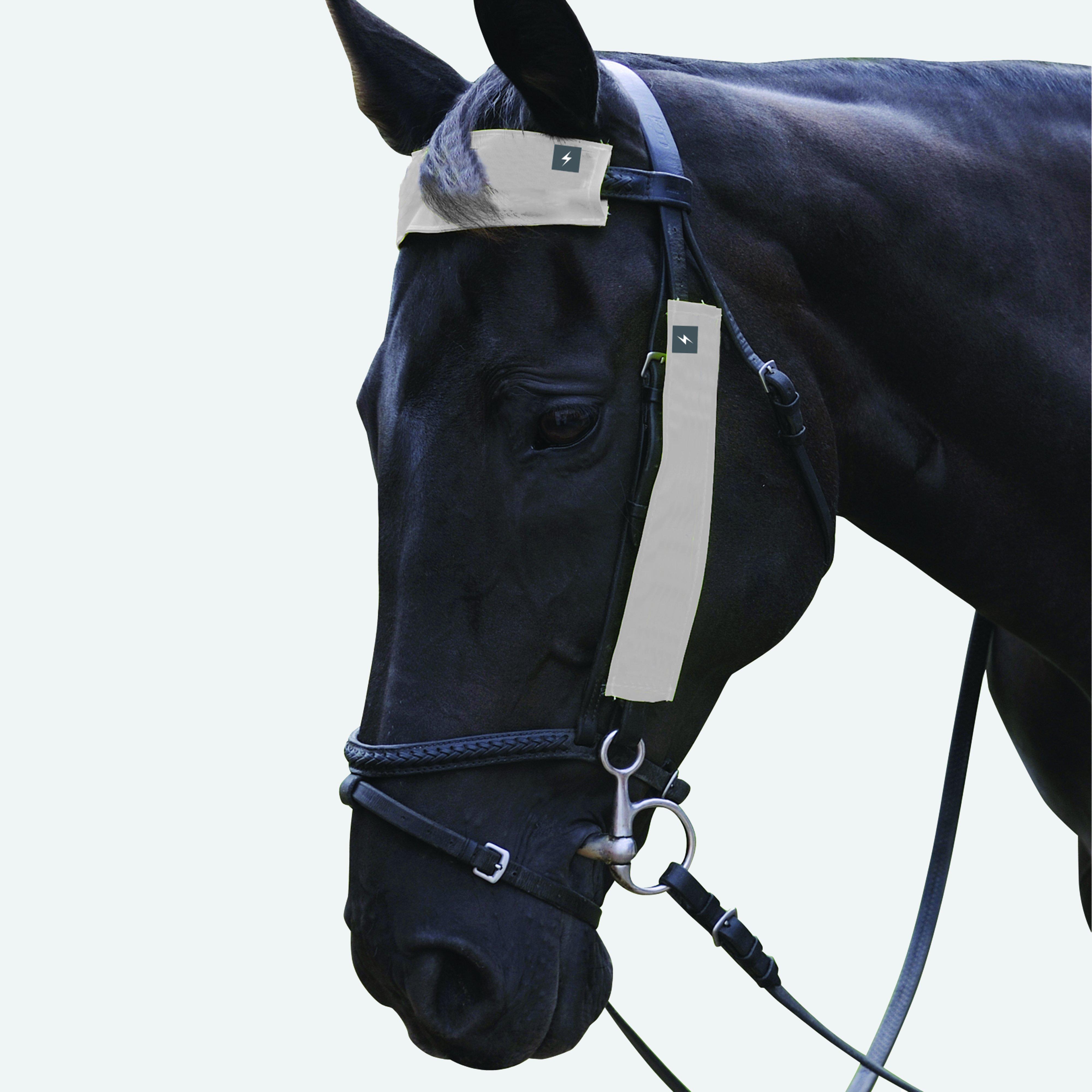 HyVIZ Bridle Set Silver