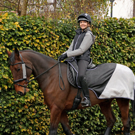 HyVIZ Bridle Set Silver