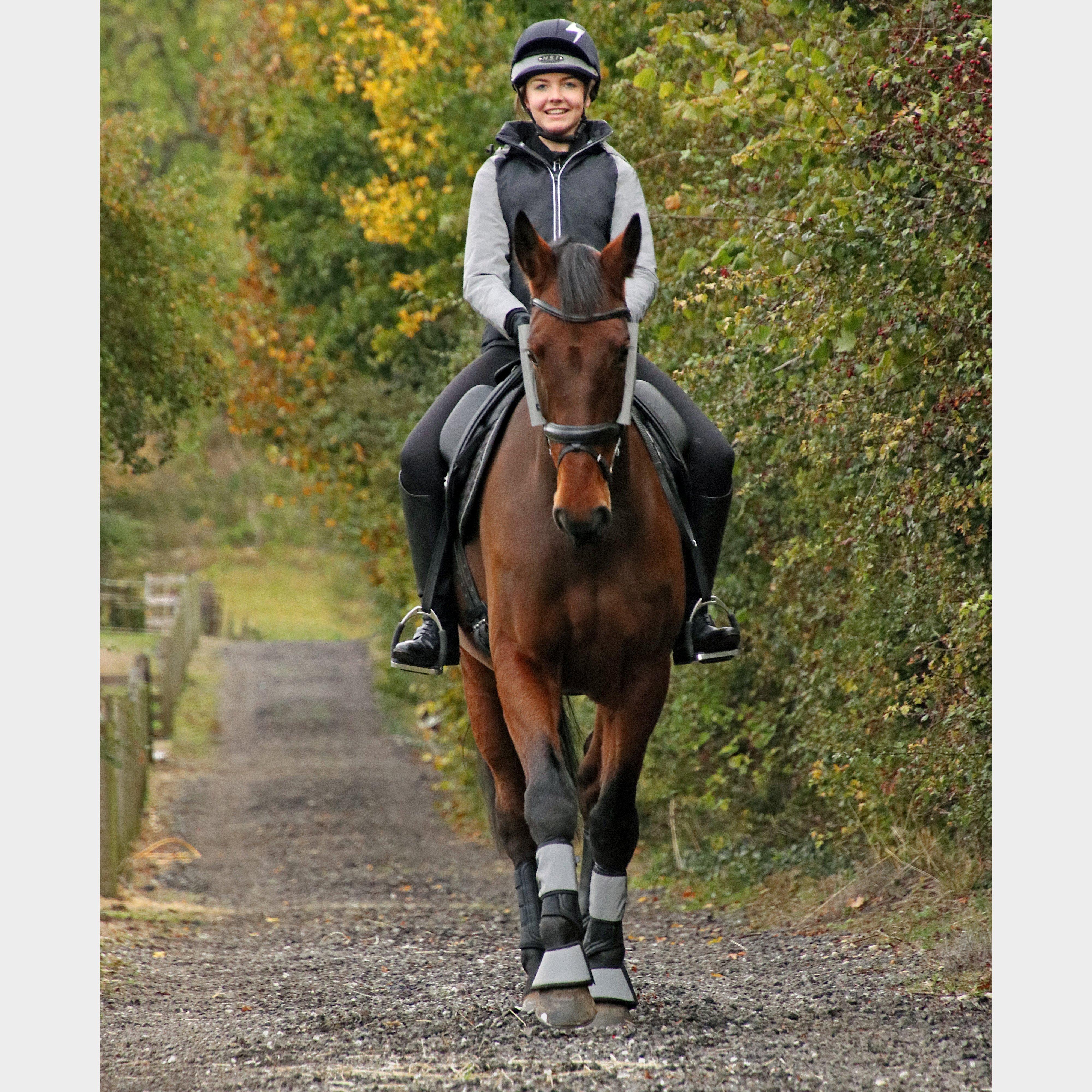 HyVIZ Bridle Set Silver