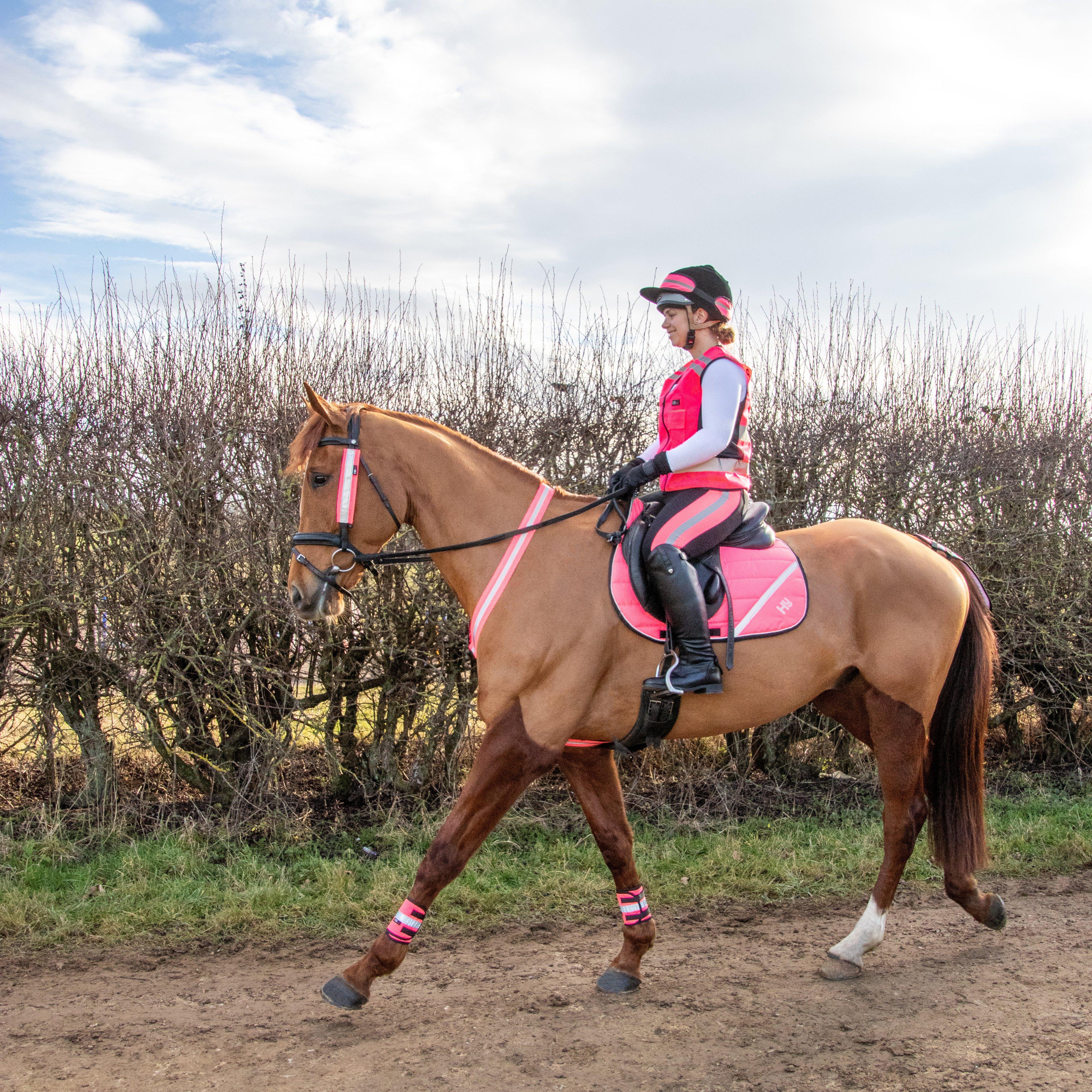 HyVIZ Bridle Set Pink