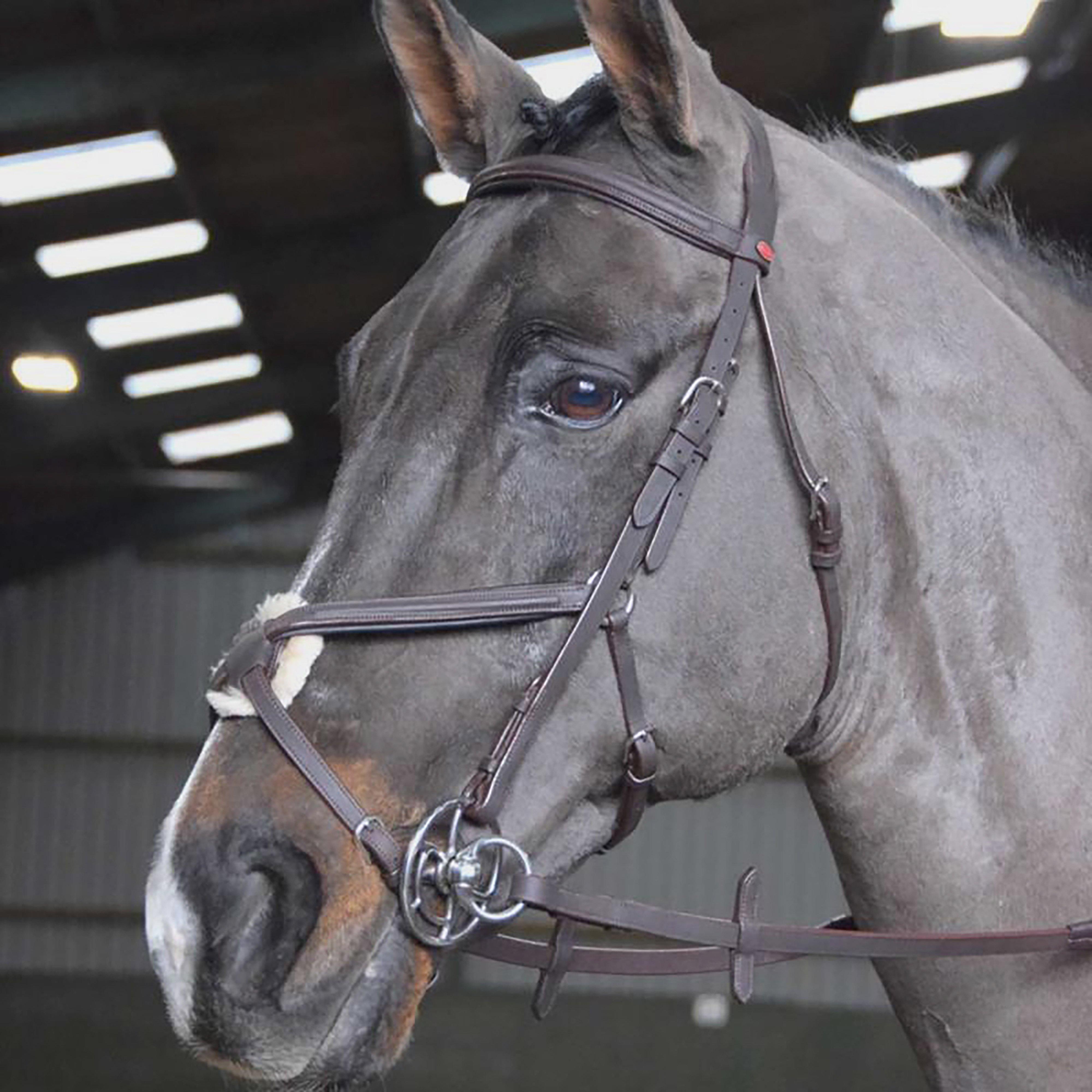 Ready To Ride Mexican Bridle Black