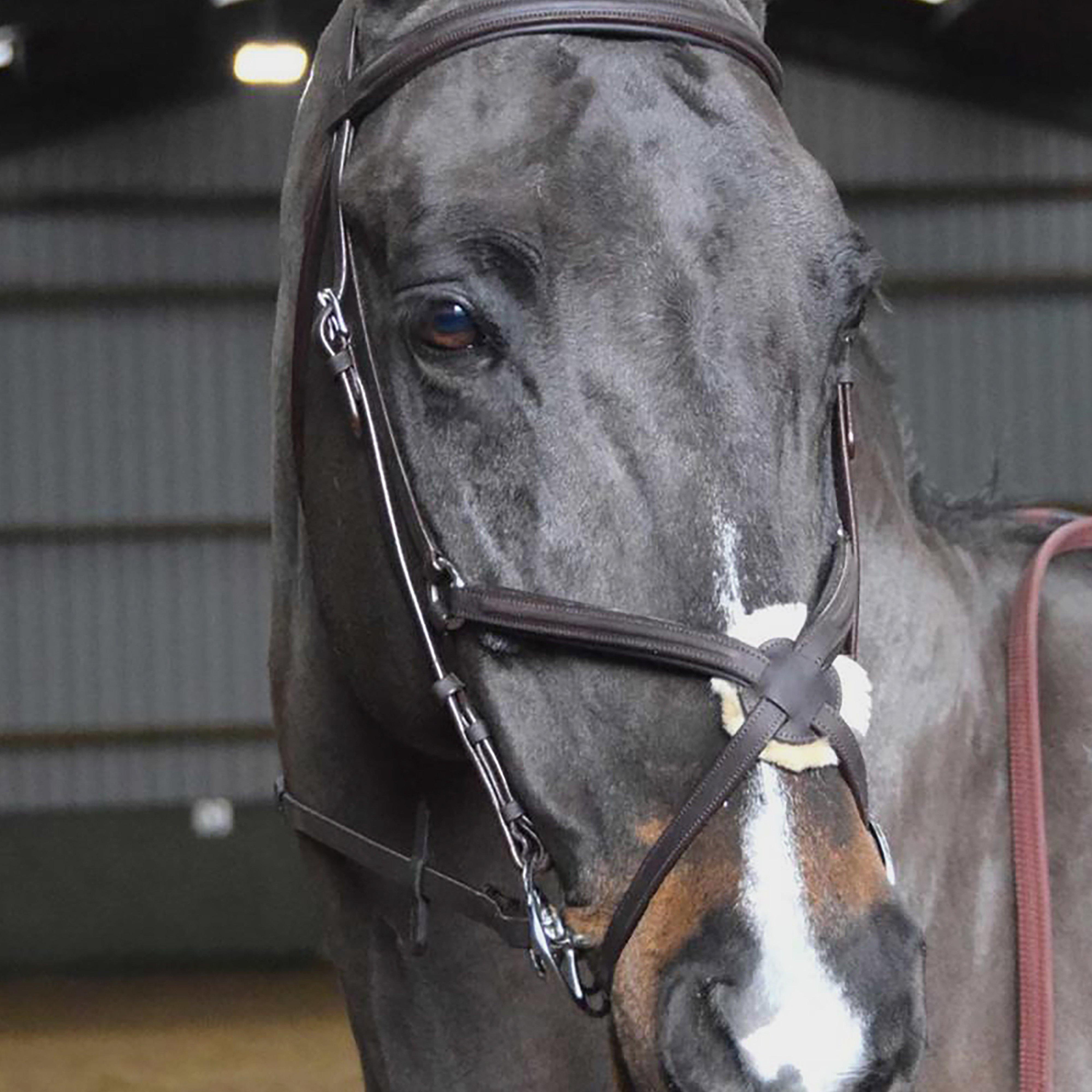 Ready To Ride Mexican Bridle Black