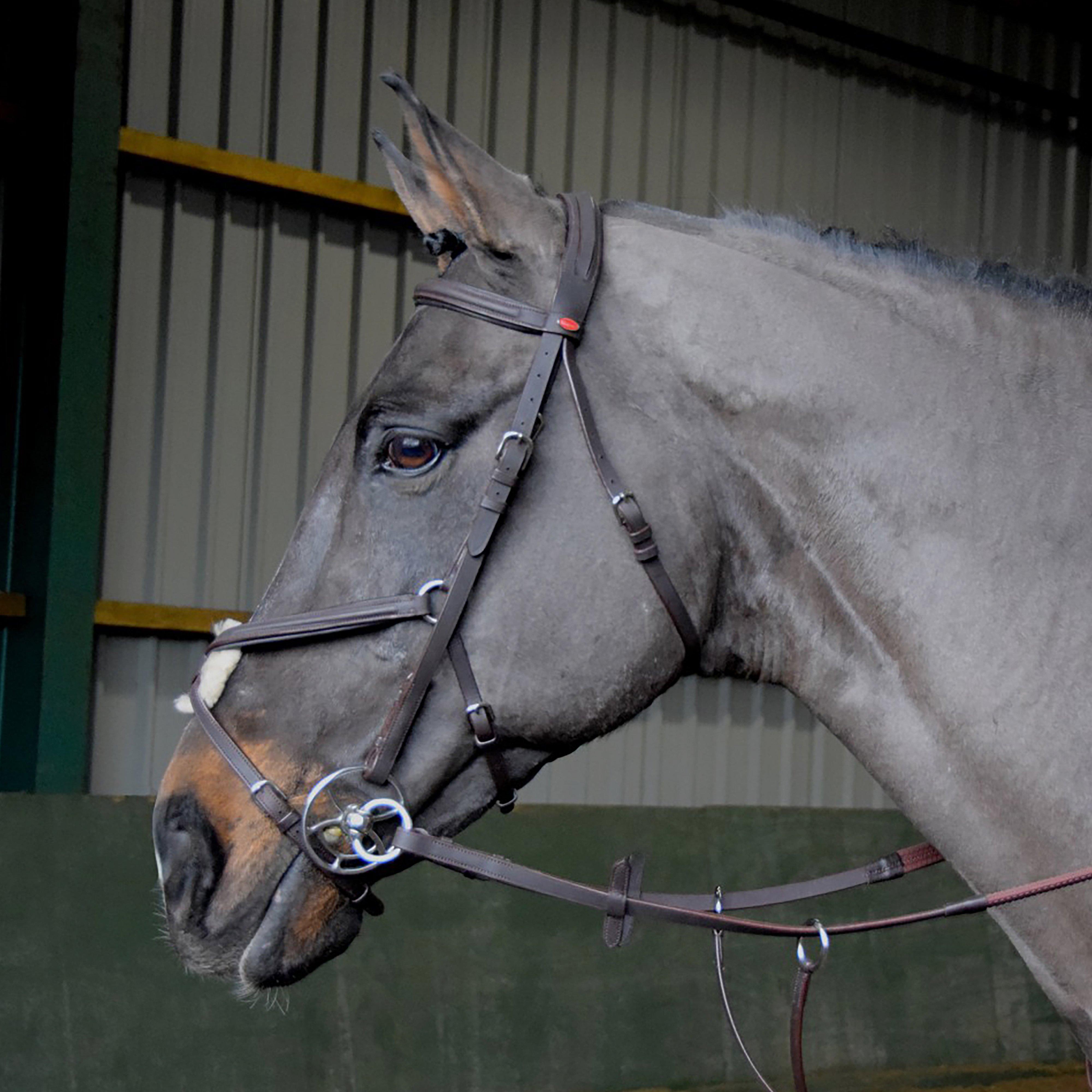 Ready To Ride Mexican Bridle Havana
