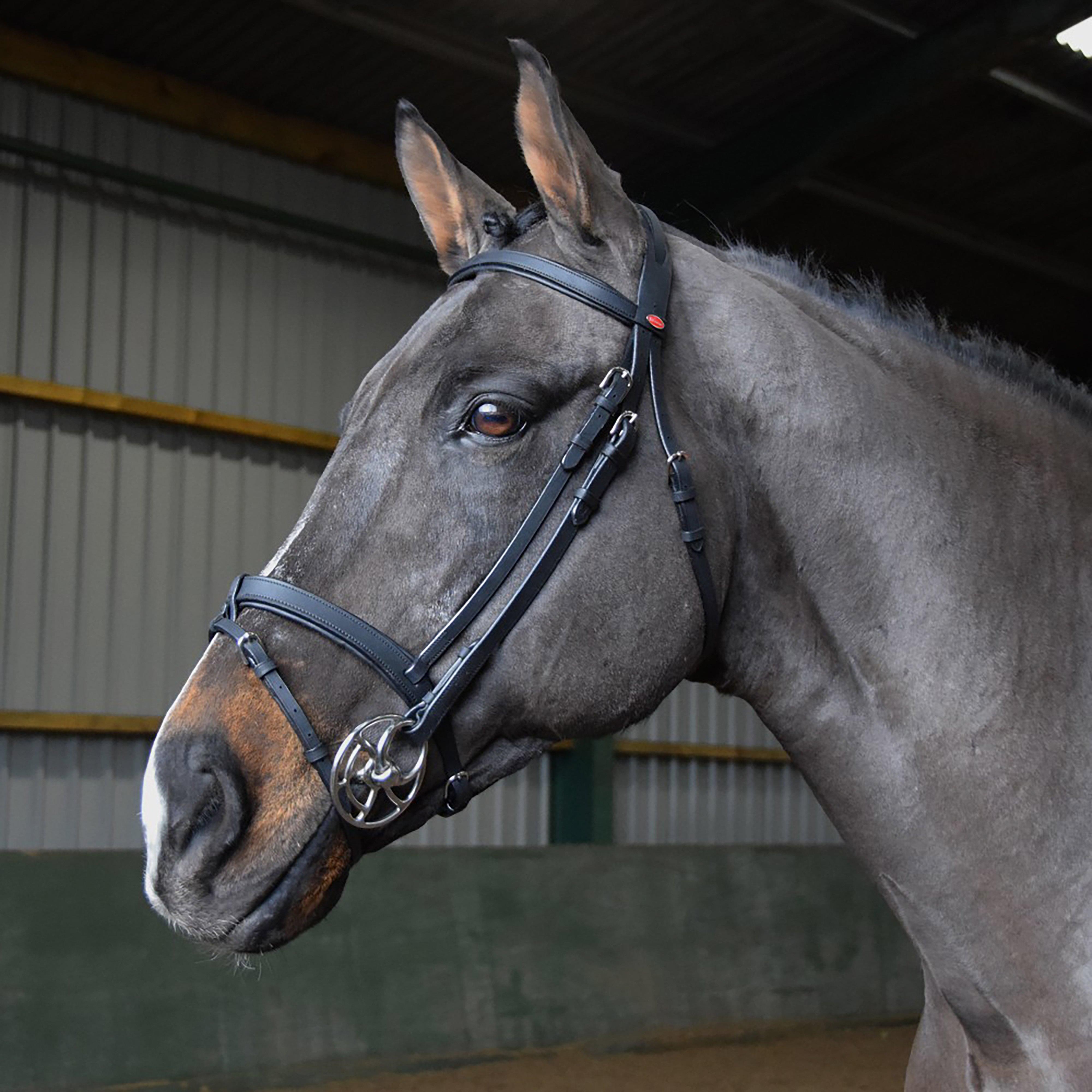 Ready To Ride Snaffle Flash Bridle Black