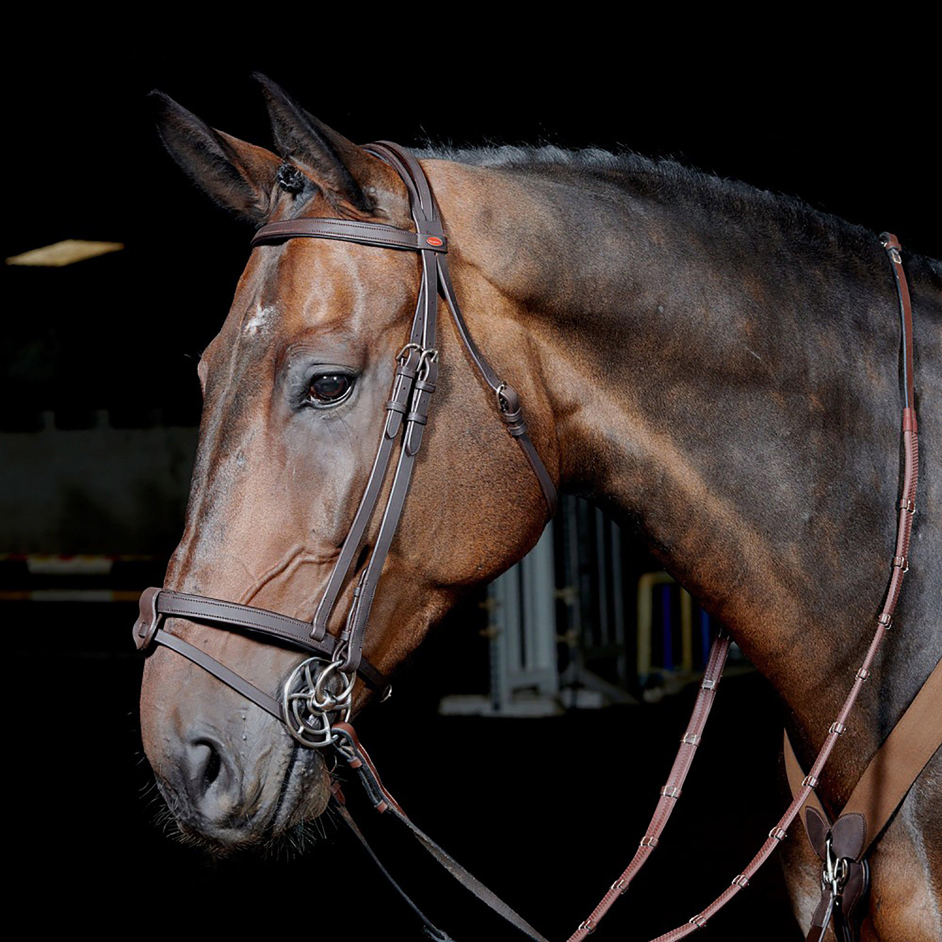 Ready To Ride Snaffle Flash Bridle Havana