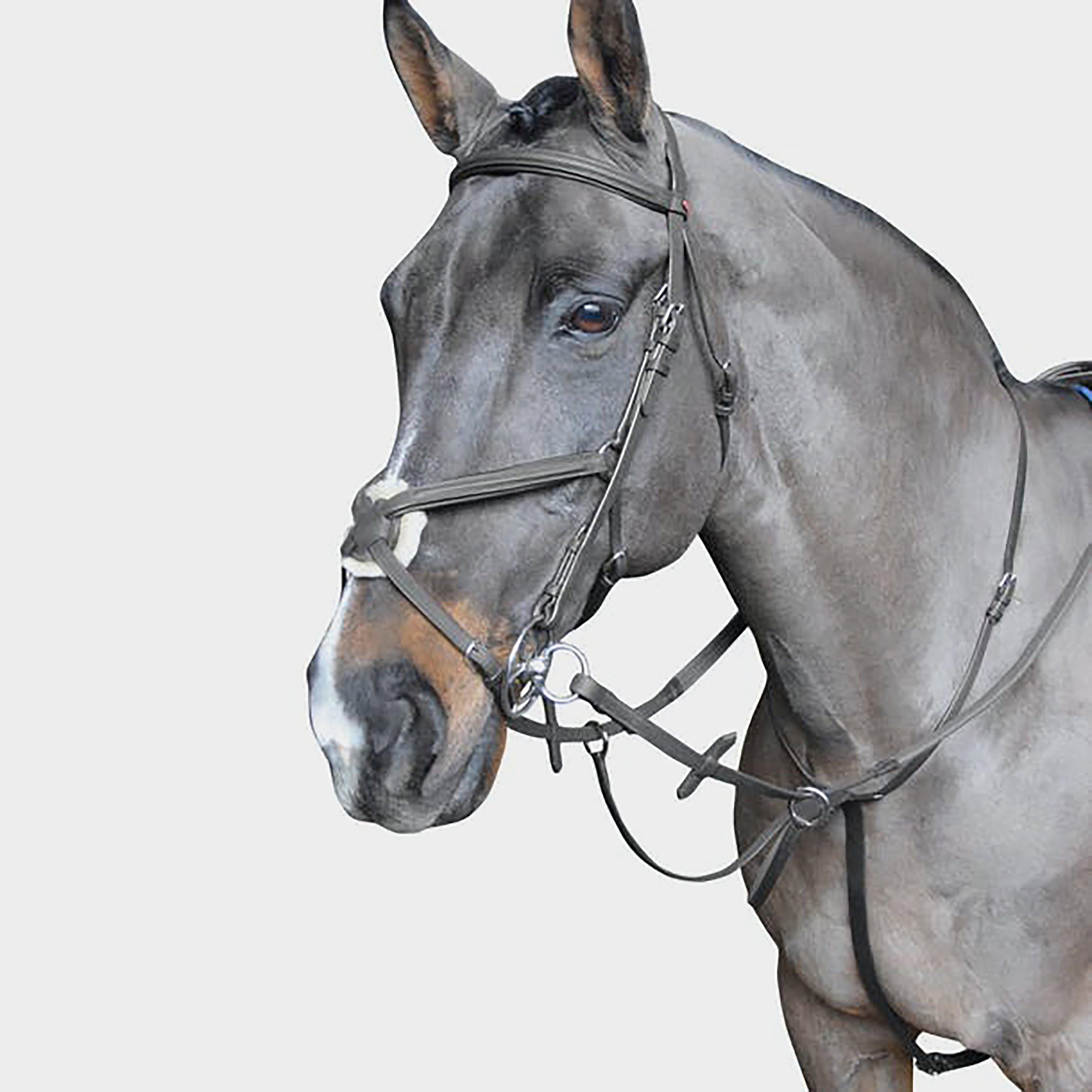 Ready To Ride Running Martingale Black