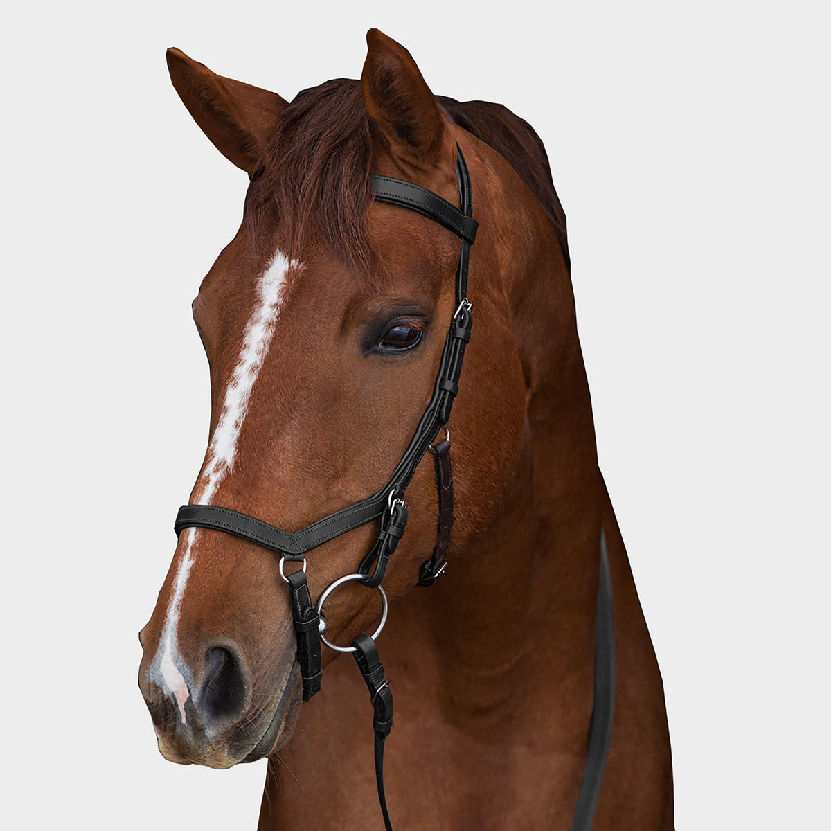 Rambo Micklem Original Competition Bridle Black