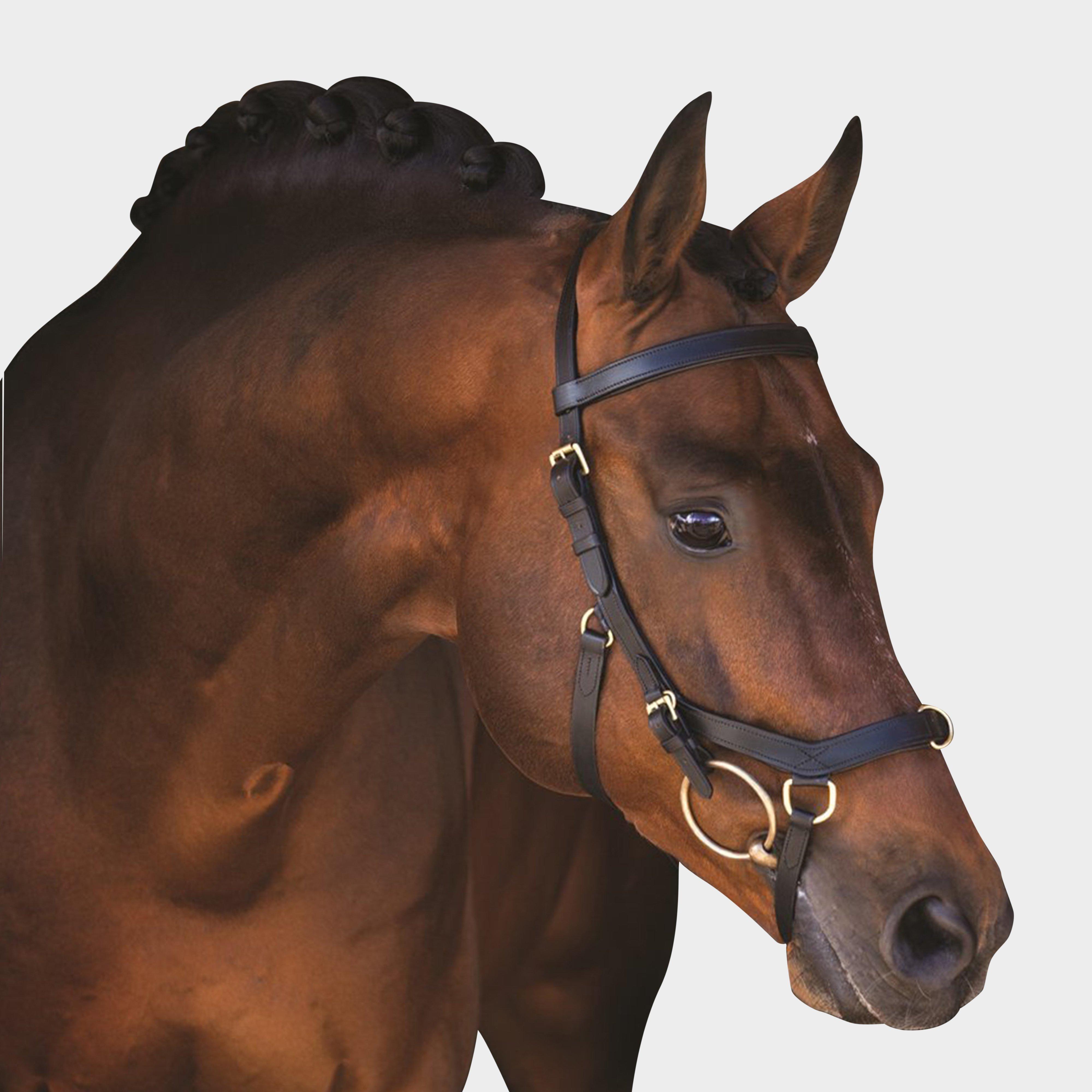 Rambo Micklem Multibridle Brown