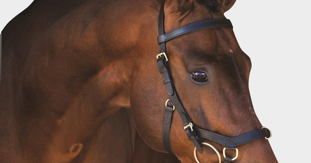 Black Rambo Micklem, Horse – A Bit Less Tack Black Rambo Micklem, Horse – A Bit Less Tack