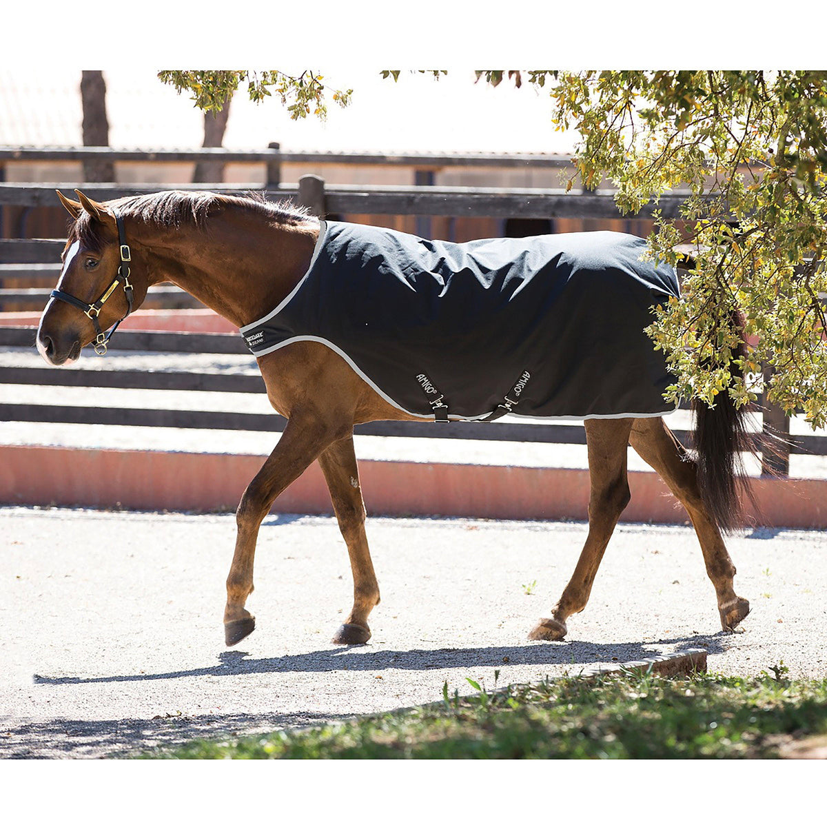 Amigo 200g Medium Weight Walker Rug Black/Silver