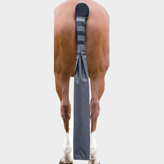 Tail Guard and Detachable Tail Bag