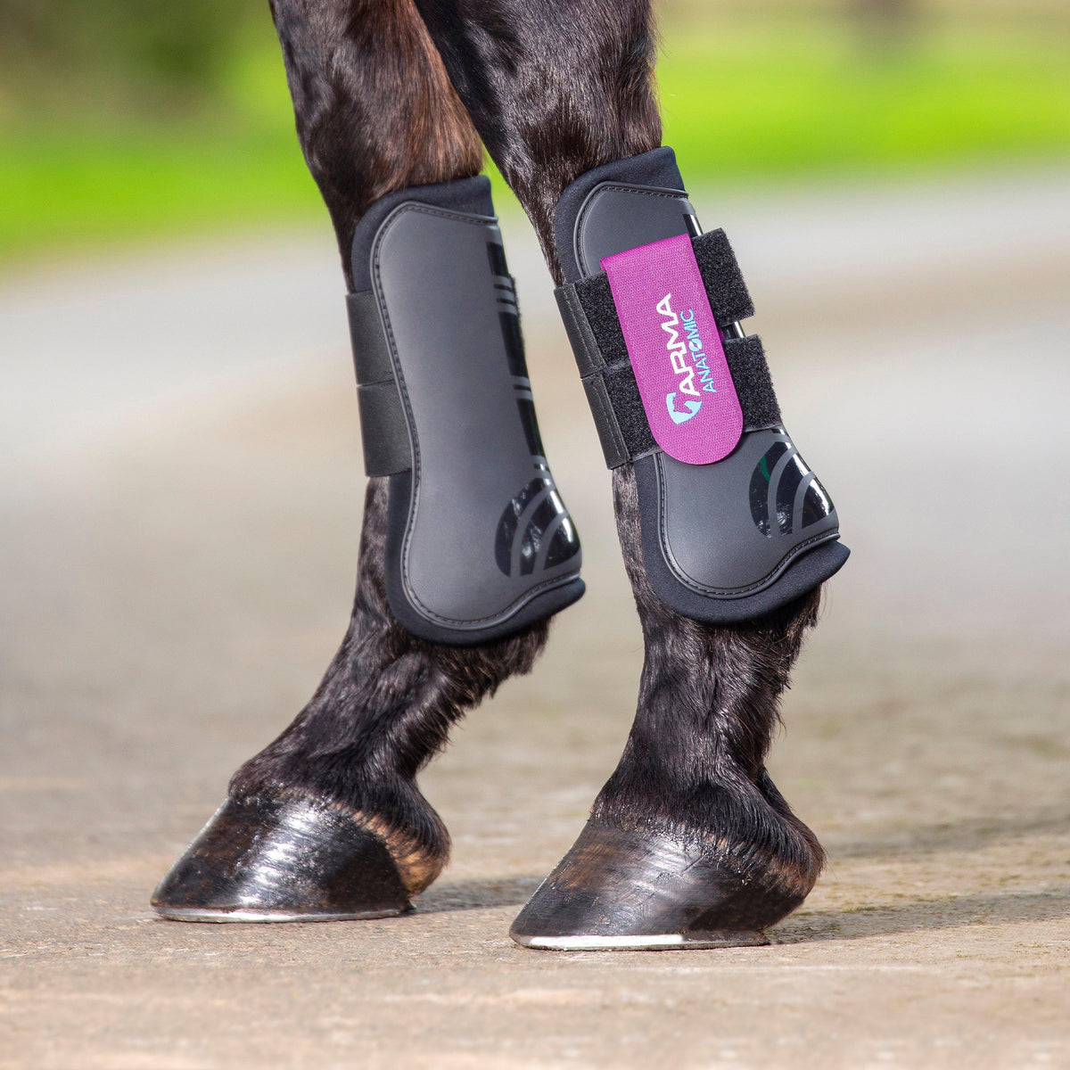 Tendon Boots Plum