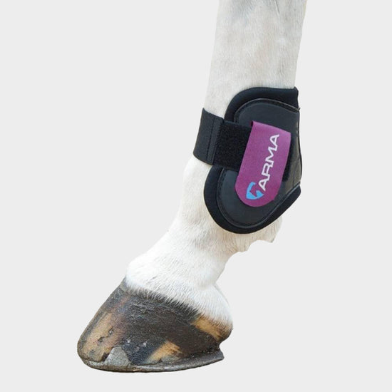 Fetlock Boots Plum