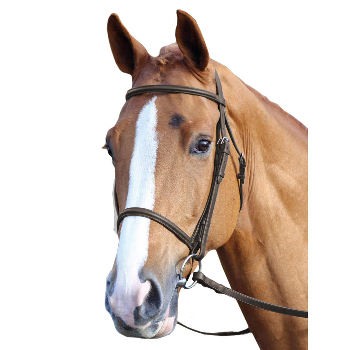 GARA Raised Cavesson Bridle Havana